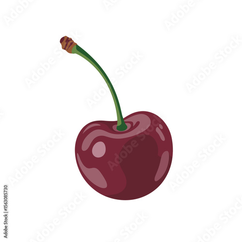 illustration of a ripe, glossy cherry