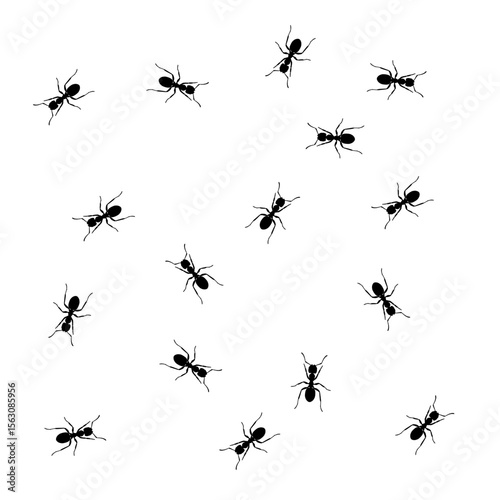 Pattern of scattered black ants on a white background. Repeating insect design perfect for wallpapers, textiles, backgrounds, or nature-themed decorations