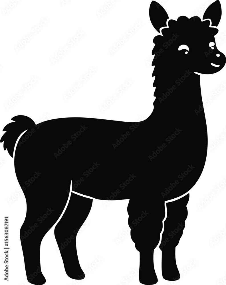 Fototapeta premium alpaca standing with tiny fluffy body silhouette vector