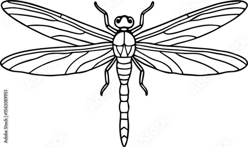 dragon fly wings line art