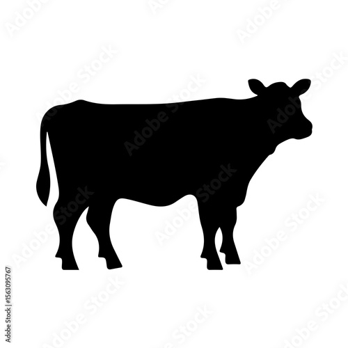 silhouette of a cow