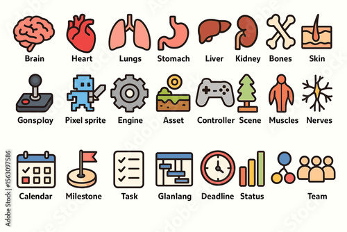 Colorful icon set depicting human organs and gaming elements