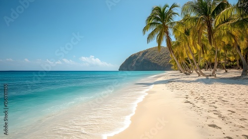 tropical beach with palm trees