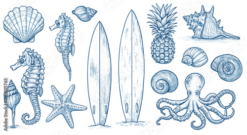 Coastal beach elements in detailed hand drawn vector illustration for summer design projects