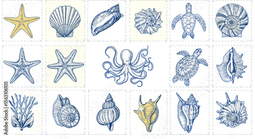 Nautical marine life vector illustration featuring seashells, starfish, octopus, and turtles for coastal design and decor