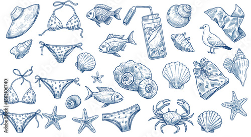 Beach elements vector illustration: summer seashells, marine life, and swimwear in hand drawn style