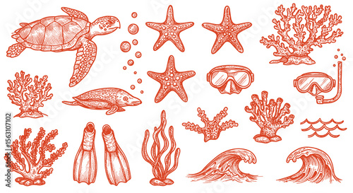 Underwater marine life and diving gear vector illustration in hand drawn style