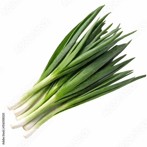 bunch of fresh green onions