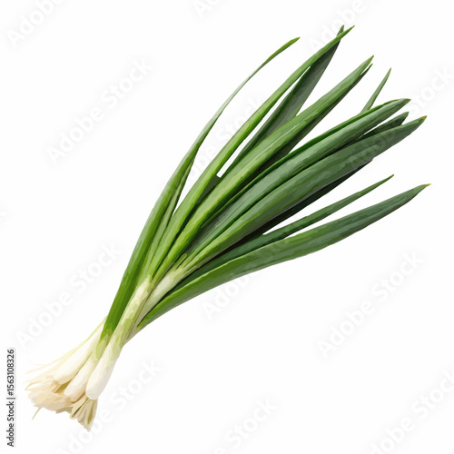 green onion isolated on white