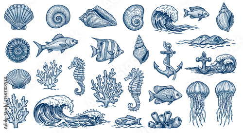 Nautical and marine life vector illustration with fish, shells, and ocean waves in engraved style for ocean-themed designs