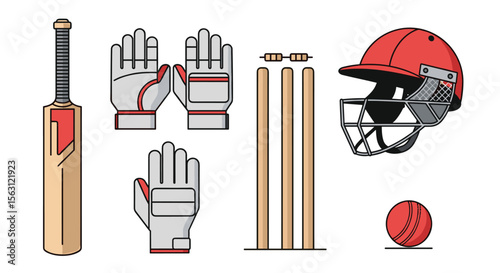 Cricket sports equipment gear set collection bat ball helmet gloves stumps wickets accessories for playing outdoor game
