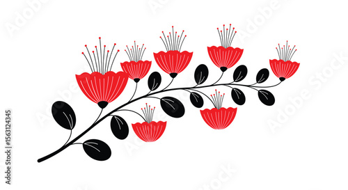 Vibrant red pohutukawa blossoms adorning a branch with dark green leaves on a white background representing nature and flora