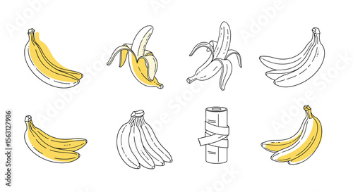A hand drawn collection of fresh yellow bananas in various stages of peeling and unpeeled posed against a white background