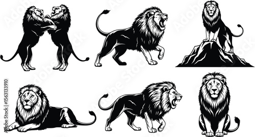 Lion vector illustrations set black and white wild animal king of beasts art