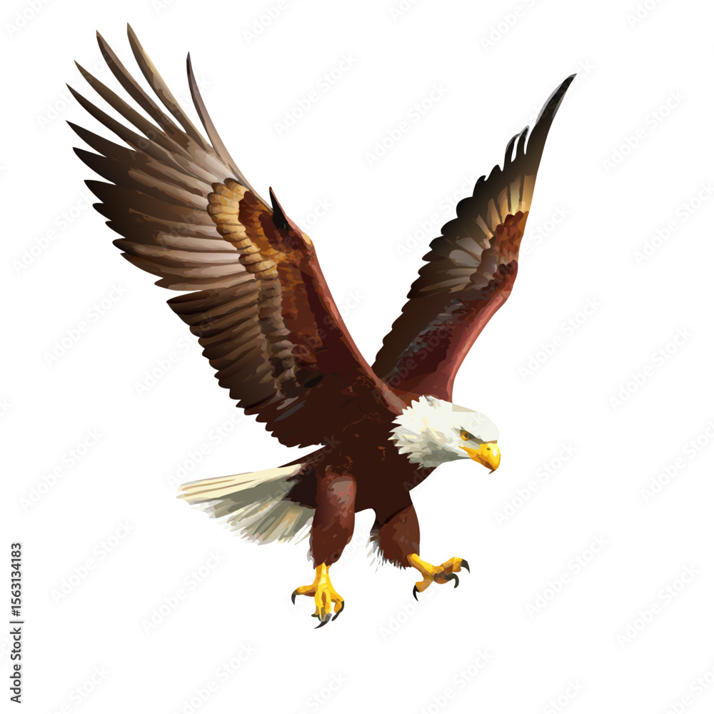 Obraz premium Flying Bald Eagle Vector Illustration – Patriotic American Bird Clipart, Soaring Wildlife Symbol Art, Freedom Wings Decor, Majestic Raptor Drawing
