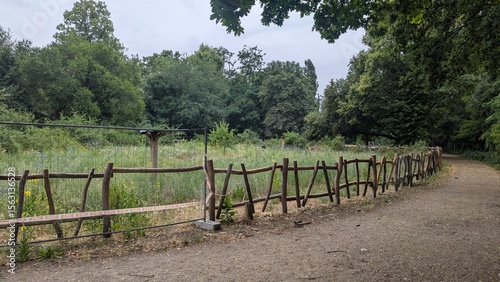 Holz Zaun einer Blumenwiese