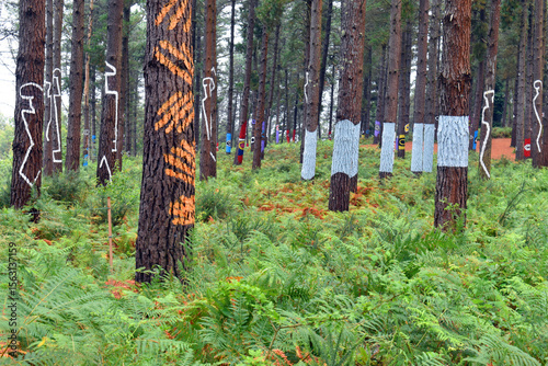 The Oma Forest. Urdaibai Biosphere Reserve.