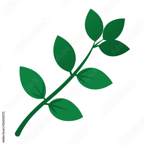 green leaves isolated on white