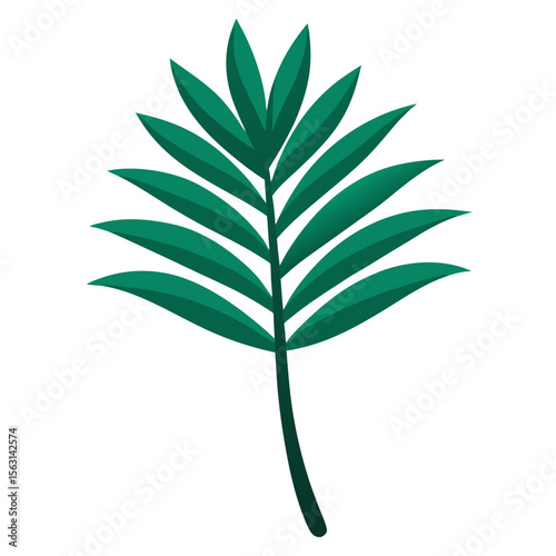 green leaf isolated on white background