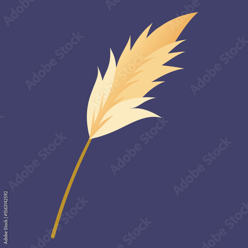 feather on a black background