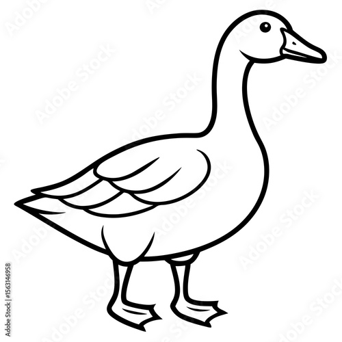 Simple Goose Contour