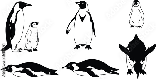 Penguin vector image illustration of emperor penguins and baby penguins