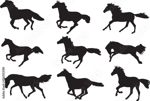 Horse Silhouettes, Vector Illustration Isolated on White Background.