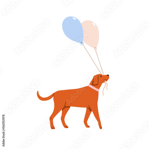 Dog holding balloons in mouth. Cute festive puppy pet walking with helium baloons in mouth jaws, side view. Happy canine animal on holiday. Flat vector illustration isolated on white background