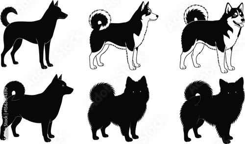 Dog breeds illustration vector art featuring husky and spitz type dogs