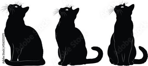 Three black cats looking up vector illustration domestic animals silhouette
