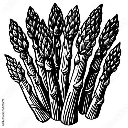 wheat ears isolated on white