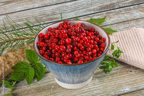 Bilde på lerret Natural organic wild forwst lingonberry