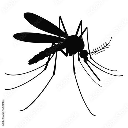 silhouette of a detailed mosquito isolated on white background, perfect for vector disease concepts, entomology studies, and pest control