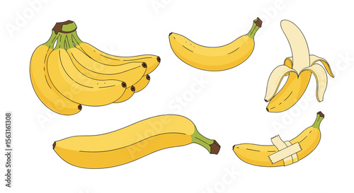 A collection of five ripe yellow bananas presented in various amusing poses and states of being demonstrating their versatility and natural appeal