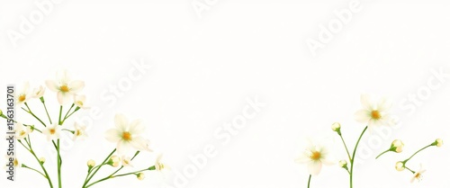 Delicate hand-drawn gypsophila flowers in ivory, beige, and green, perfect for wedding invitations or gift cards,  flower,  vintage