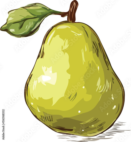 pear on a white background