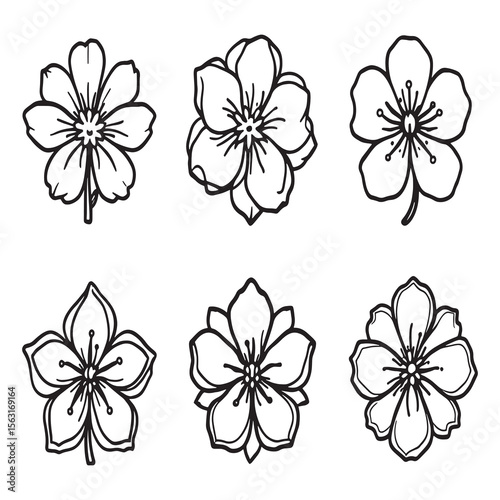 Cherry Blossom Bash Hand Drawn Cherry Tree Branch Art
