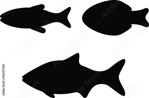 Fish silhouette, Fish silhouette set