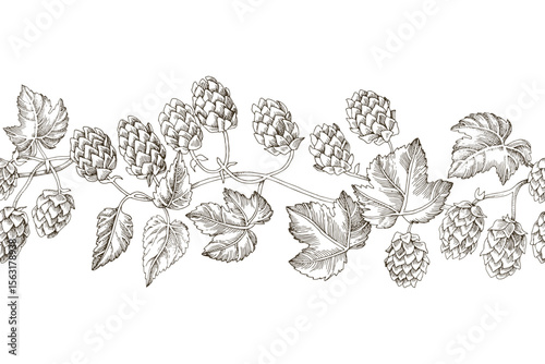 Hop hand drawn seamless border vector
