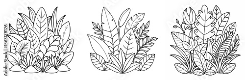 Jungle Foliage Coloring Page - Tropical Plants Line Art Outline for Kids and Adults
