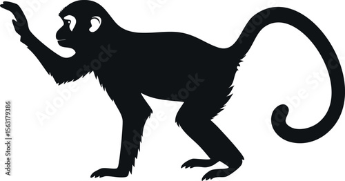 Capuchin monkey silhouette illustration