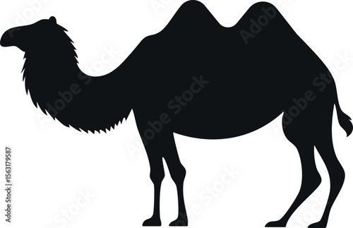 Bactrian camel silhouette illustration
