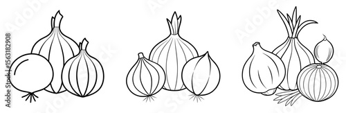 Onions, Garlic, and Leeks Coloring Page - Allium Vegetables Outline Line Art for Kids and Adults