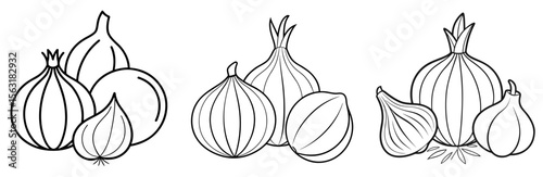 Onions, Garlic, and Leeks Coloring Page - Allium Vegetables Outline Line Art for Kids and Adults