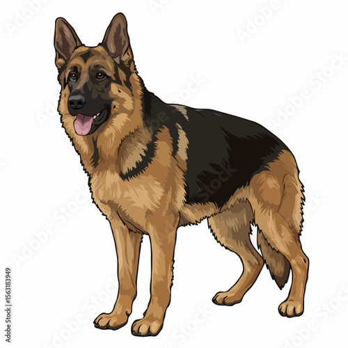 A majestic german shepherd dog stands alert with its tongue out and ears perked