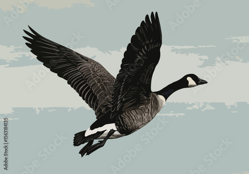 A canada goose in flight against a cloudy sky