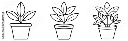 Potted Plant Coloring Page - Indoor Plant Line Art Outline for Kids and Adults