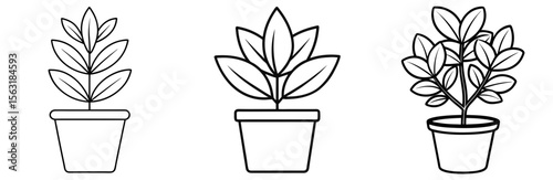 Potted Plant Coloring Page - Indoor Plant Line Art Outline for Kids and Adults