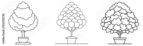 Topiary Bush Coloring Book Page - Outline Vector Line Art
