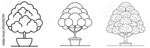 Topiary Bush Coloring Book Page - Outline Vector Line Art